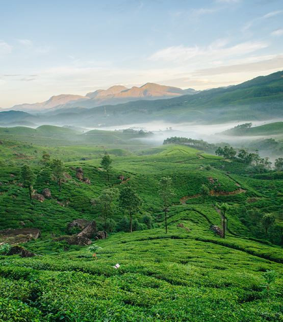 kerala-tour
