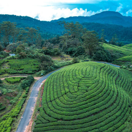 3 DAYS/ 2 NIGHTS MUNNAR
