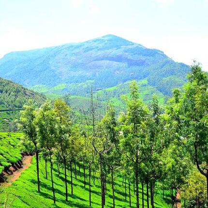 KERALA FAMILY TOUR ITINERARY - 3Days/2Nights