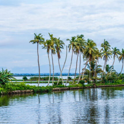 KERALA TOUR PACKAGE ITINERARY - 7Days/6Nights (2Nights Munnar/1Night Thekkady/1Night Alleppey/2Nights Kovalam)